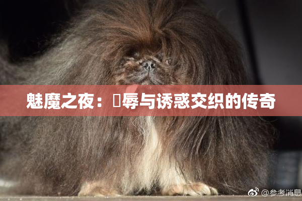 魅魔之夜：婬辱与诱惑交织的传奇