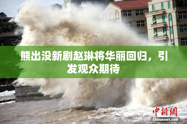 熊出没新剧赵琳将华丽回归，引发观众期待