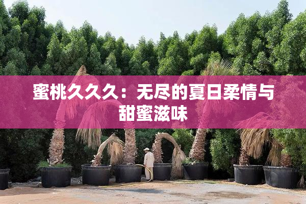 蜜桃久久久：无尽的夏日柔情与甜蜜滋味
