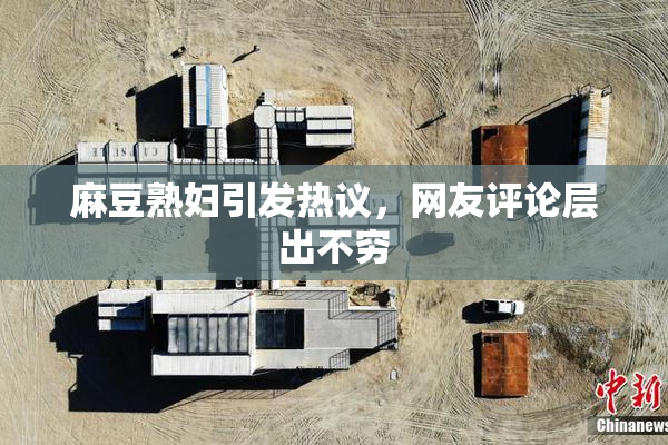 麻豆熟妇引发热议，网友评论层出不穷