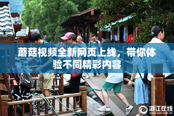 蘑菇视频全新网页上线，带你体验不同精彩内容