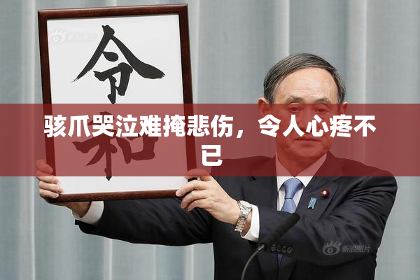 骇爪哭泣难掩悲伤，令人心疼不已