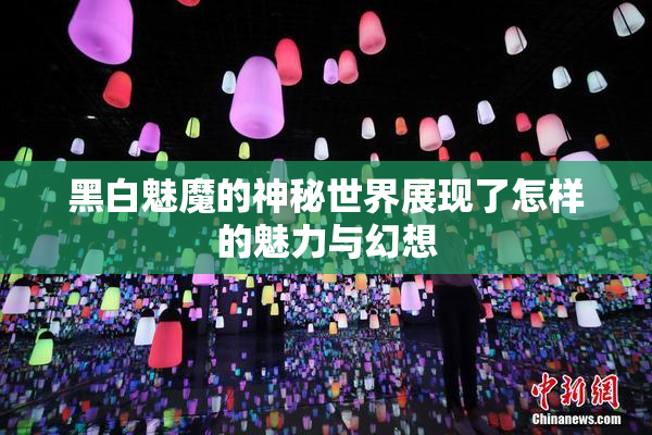 黑白魅魔的神秘世界展现了怎样的魅力与幻想