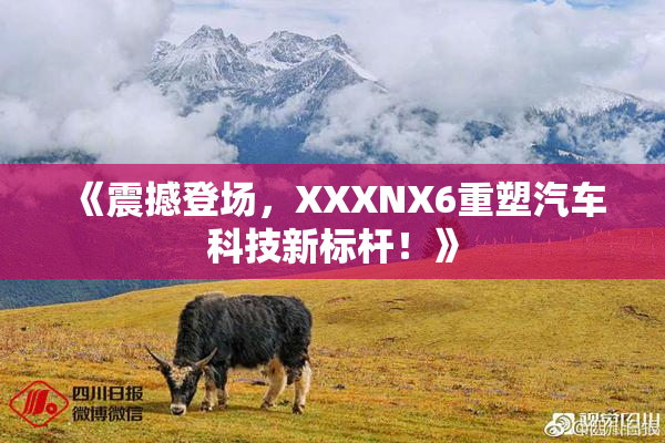 《震撼登场，XXXNX6重塑汽车科技新标杆！》