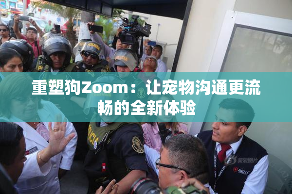 重塑狗Zoom：让宠物沟通更流畅的全新体验