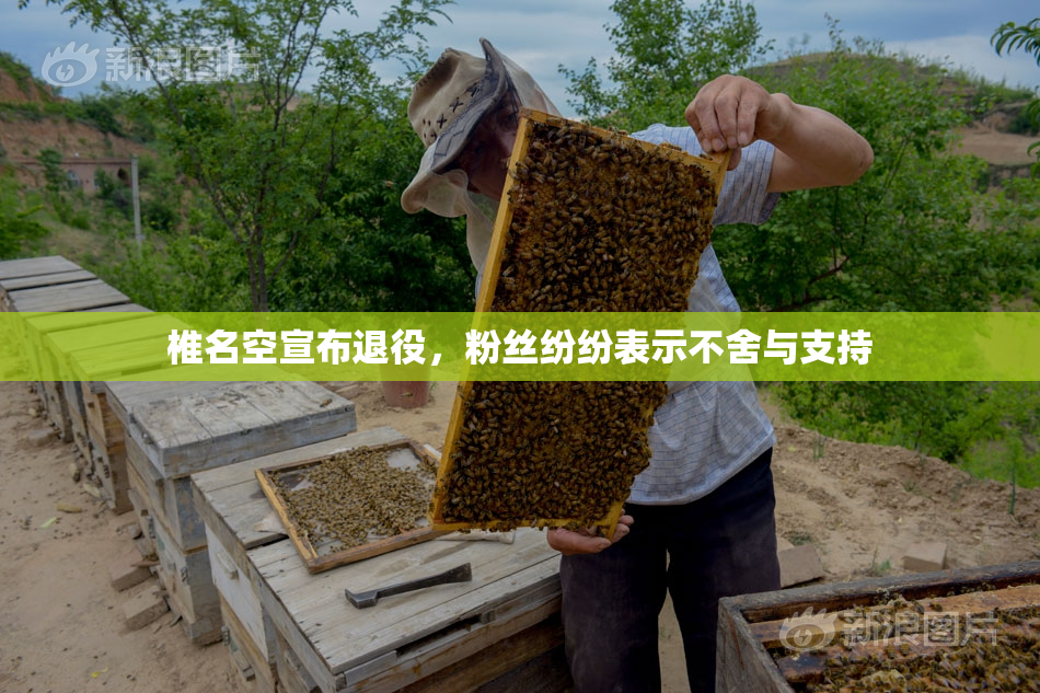 椎名空宣布退役，粉丝纷纷表示不舍与支持