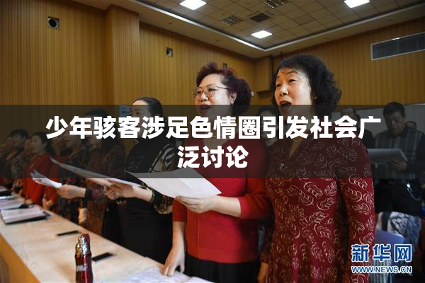 少年骇客涉足色情圈引发社会广泛讨论