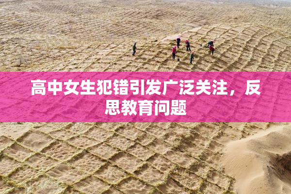 高中女生犯错引发广泛关注，反思教育问题