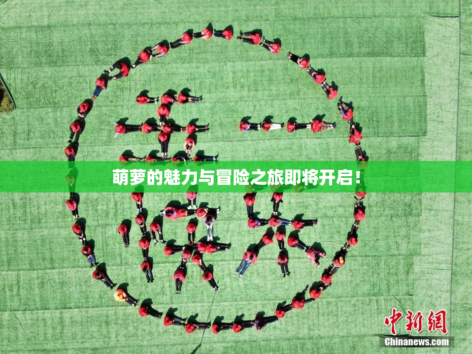 萌萝的魅力与冒险之旅即将开启！