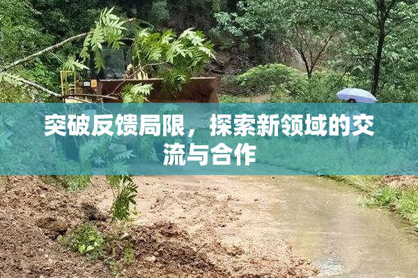 突破反馈局限，探索新领域的交流与合作