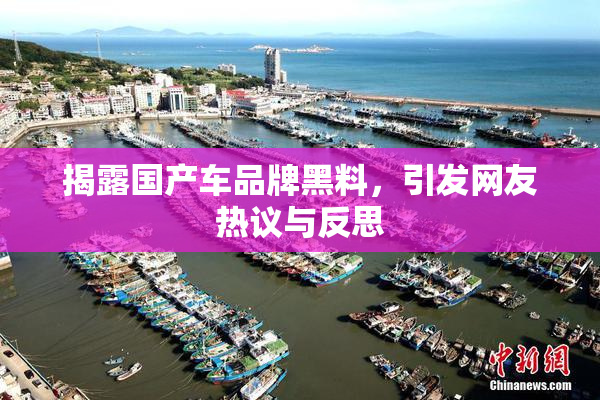揭露国产车品牌黑料，引发网友热议与反思