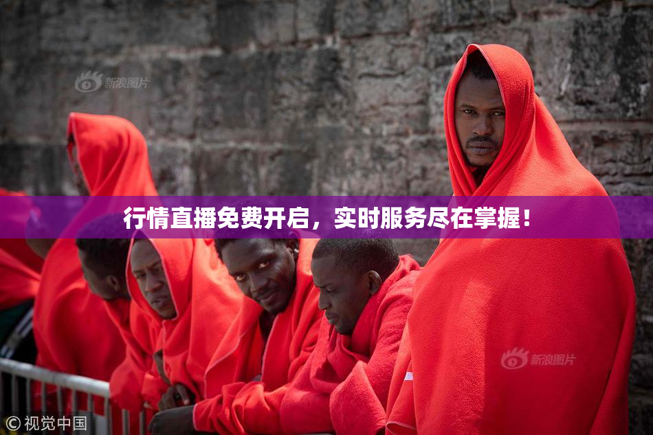 行情直播免费开启，实时服务尽在掌握！