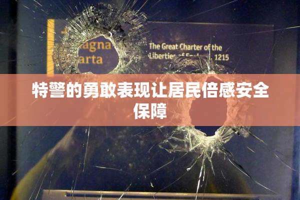 特警的勇敢表现让居民倍感安全保障