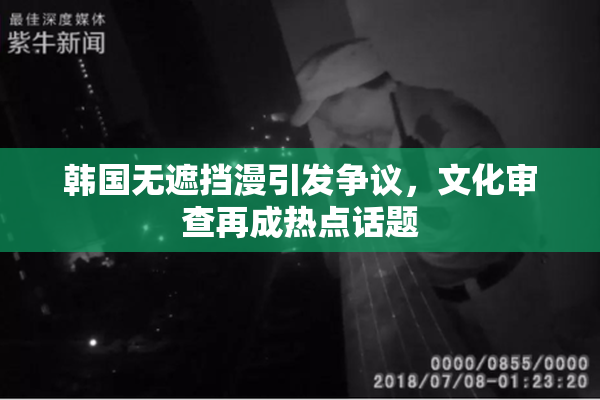 韩国无遮挡漫引发争议，文化审查再成热点话题
