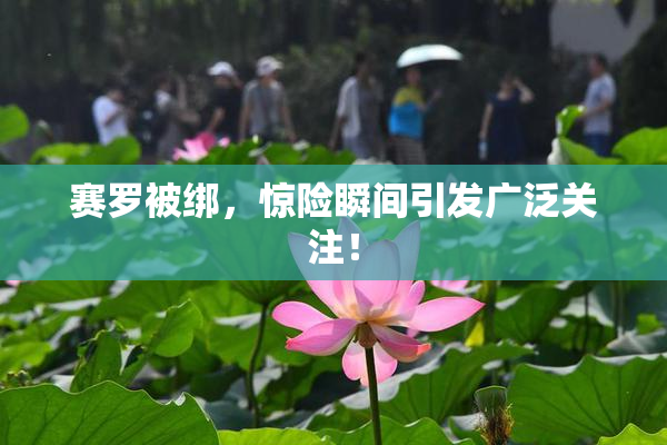 赛罗被绑，惊险瞬间引发广泛关注！