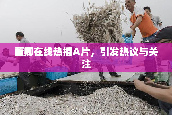 董卿在线热播A片，引发热议与关注
