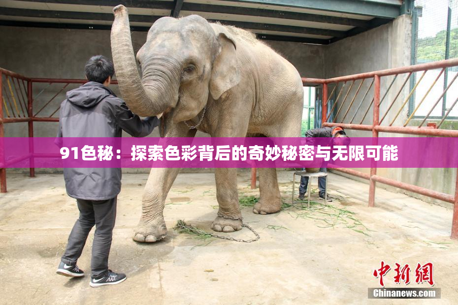 91色秘：探索色彩背后的奇妙秘密与无限可能