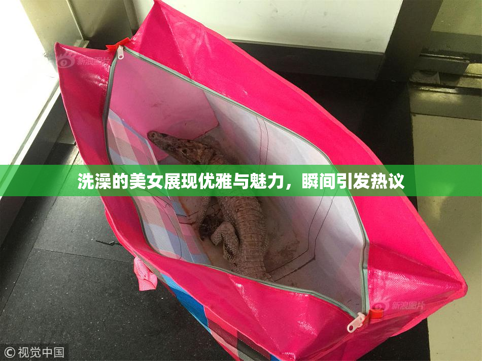 洗澡的美女展现优雅与魅力，瞬间引发热议