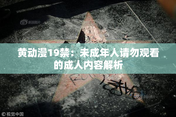 黄动漫19禁：未成年人请勿观看的成人内容解析