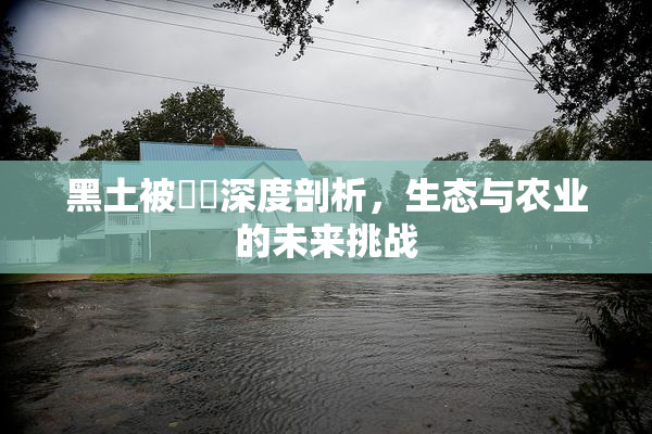 黑土被❌‌深度剖析，生态与农业的未来挑战