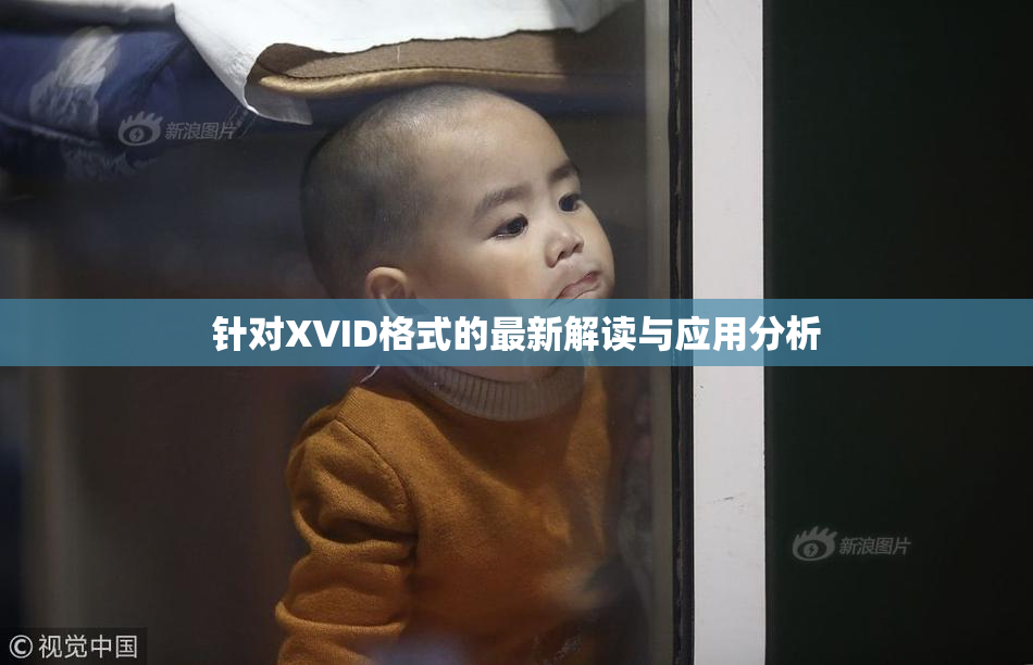 针对XVID格式的最新解读与应用分析
