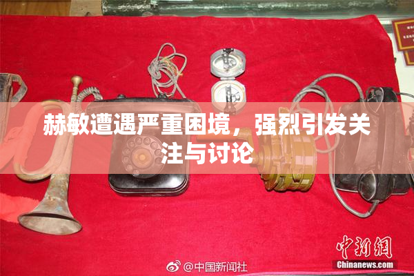 赫敏遭遇严重困境，强烈引发关注与讨论