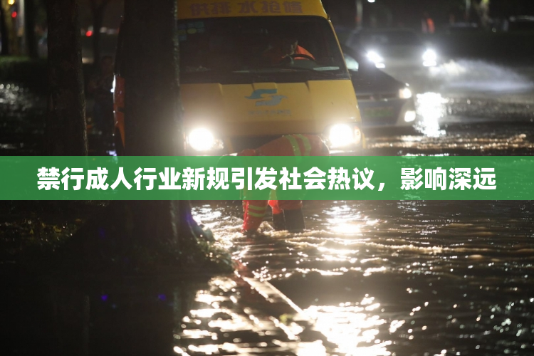 禁行成人行业新规引发社会热议，影响深远