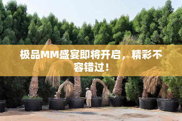 极品MM盛宴即将开启，精彩不容错过！
