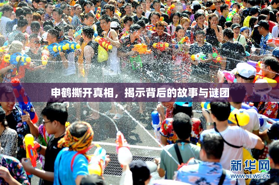 申鹤撕开真相，揭示背后的故事与谜团