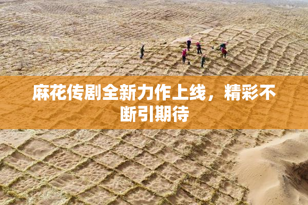 麻花传剧全新力作上线，精彩不断引期待
