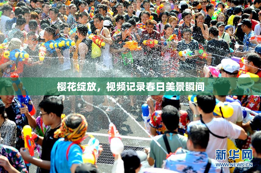 樱花绽放，视频记录春日美景瞬间