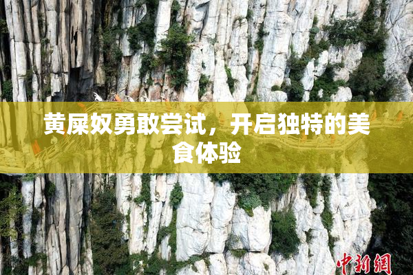 黄屎奴勇敢尝试，开启独特的美食体验