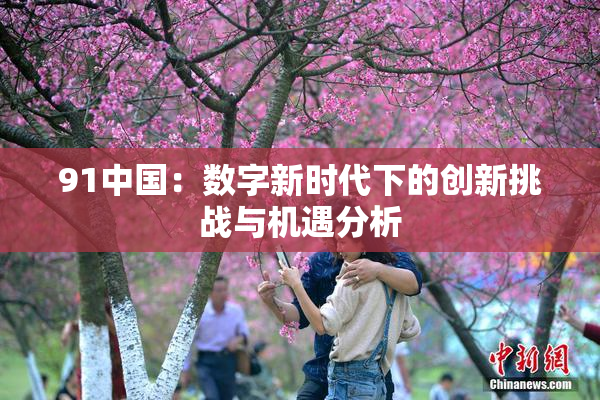 91中国：数字新时代下的创新挑战与机遇分析