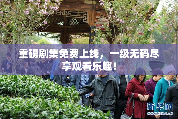 重磅剧集免费上线，一级无码尽享观看乐趣！