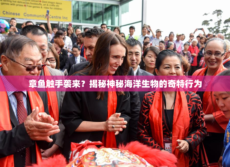 章鱼触手袭来？揭秘神秘海洋生物的奇特行为