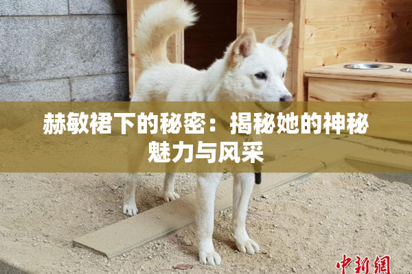 赫敏裙下的秘密：揭秘她的神秘魅力与风采
