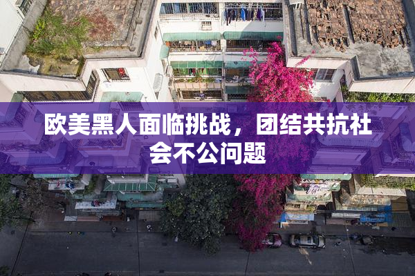欧美黑人面临挑战，团结共抗社会不公问题