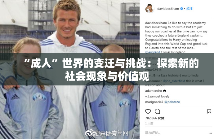 “成人”世界的变迁与挑战：探索新的社会现象与价值观