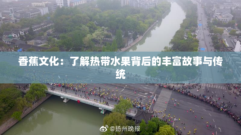 香蕉文化：了解热带水果背后的丰富故事与传统