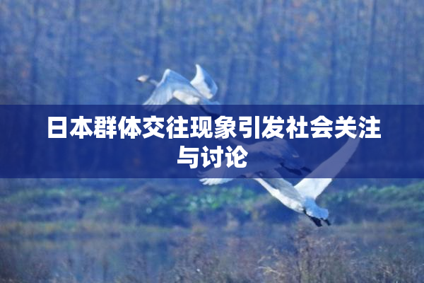 日本群体交往现象引发社会关注与讨论