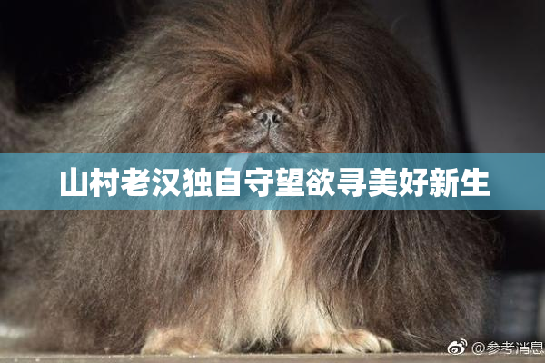 山村老汉独自守望欲寻美好新生