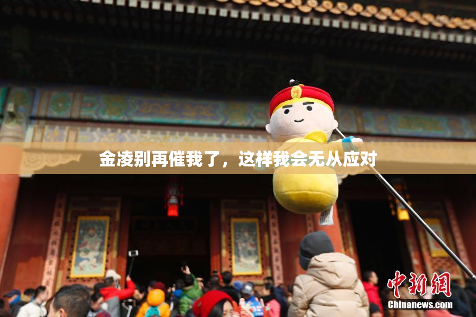 金凌别再催我了，这样我会无从应对