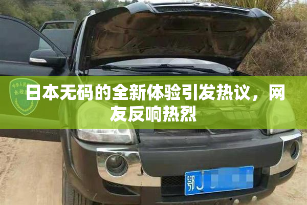 日本无码的全新体验引发热议，网友反响热烈