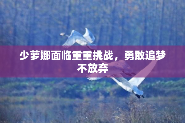 少萝娜面临重重挑战，勇敢追梦不放弃