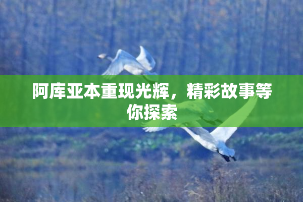 阿库亚本重现光辉，精彩故事等你探索