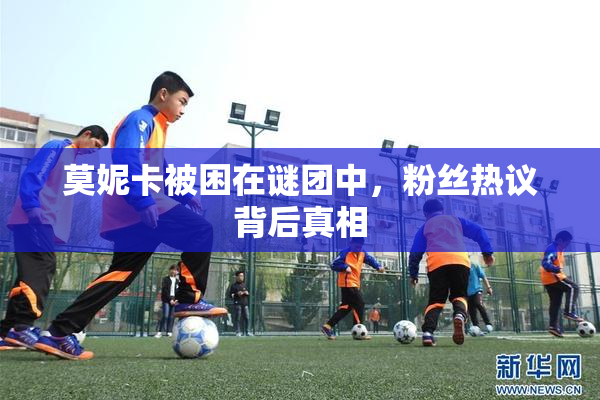 莫妮卡被困在谜团中，粉丝热议背后真相