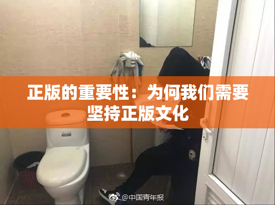 正版的重要性：为何我们需要坚持正版文化