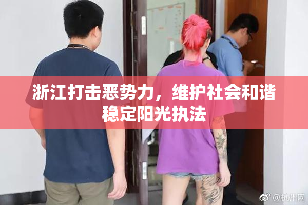 浙江打击恶势力，维护社会和谐稳定阳光执法