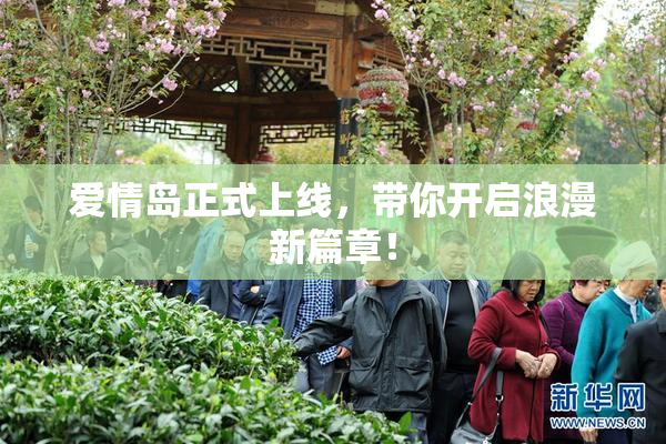 爱情岛正式上线，带你开启浪漫新篇章！