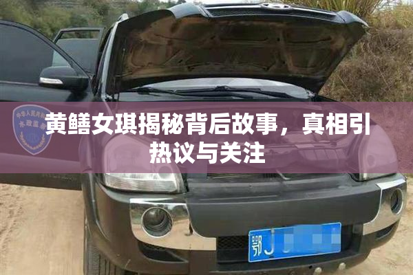 黄鳝女琪揭秘背后故事，真相引热议与关注